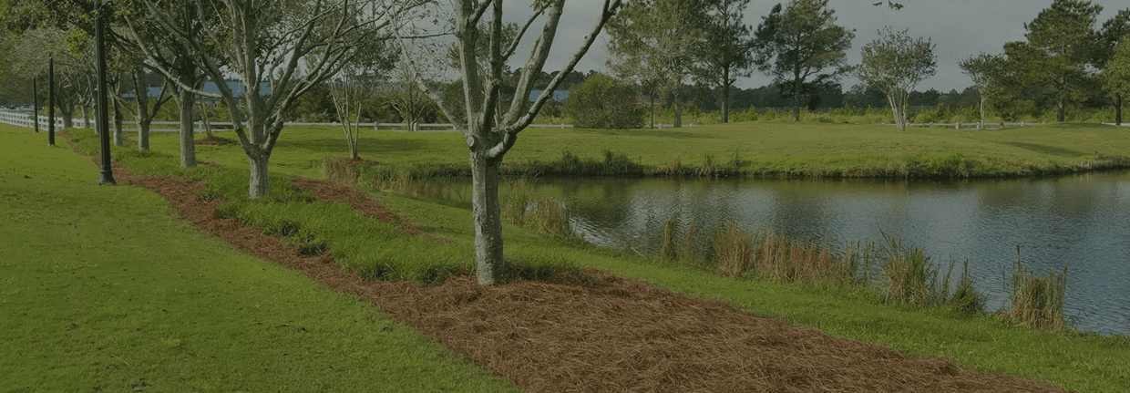 Peaceful park with water and trees