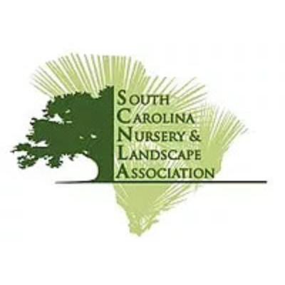 Tree and text logo design
